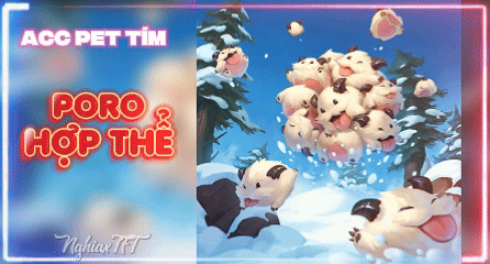 Poro Hợp Thể
